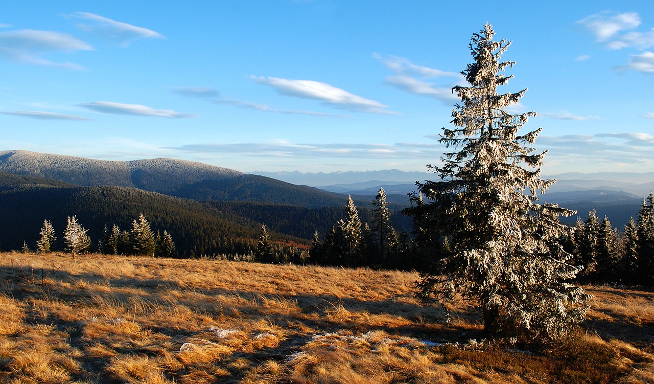 tatry